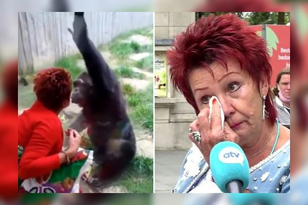 Hayvanat bahçesinin yetkilileri ise kadının uzaklaştırılmasını şu şekilde açıkladı: