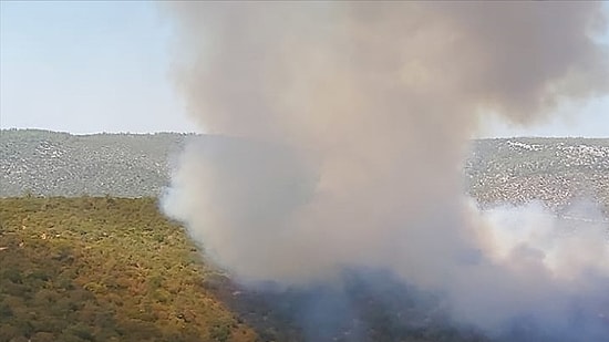 Milas ve Bodrum'da Orman Yangını Çıktı