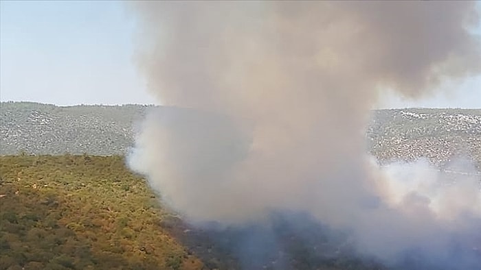 Milas ve Bodrum'da Orman Yangını Çıktı