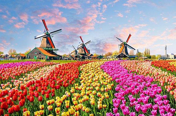 8. Hollanda'nın Zaanstad köyündeki Keukenhof Botanik Bahçesi; yel değirmenleri, evleri ve rengarenk lalaleri ile asırlardır süren bir geleneği yaşatıyor.