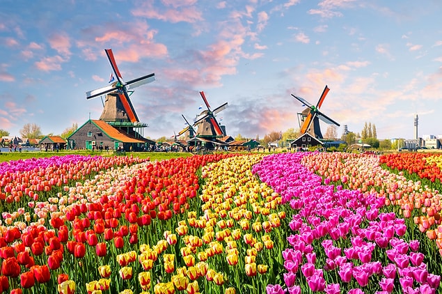 8. Hollanda'nın Zaanstad köyündeki Keukenhof Botanik Bahçesi; yel değirmenleri, evleri ve rengarenk lalaleri ile asırlardır süren bir geleneği yaşatıyor.