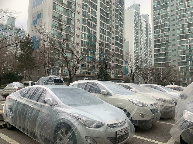 9. Güney Kore'de bir apartmanı boyayacak olan bu boyacılar, arabalara zarar gelmesin diye üstlerini örtmüş.