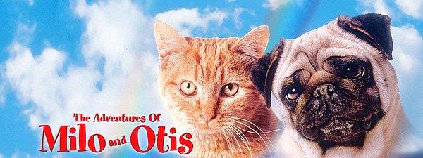 7. The Adventure of Milo and Otis / Milo ve Otis'in Maceraları (1986) - IMDb: 7.0