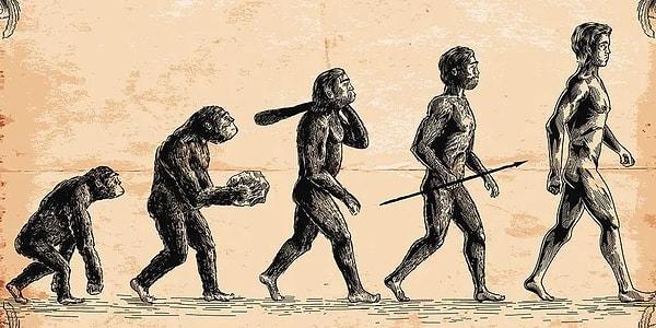 Evrim teorisi, bilim insanlarının %99'u tarafından doğru kabul edilmiştir ve sanılanın aksine insanların maymunlardan türediğini değil, tüm canlıların birbiriyle bağlantılı olduğunu söyler.