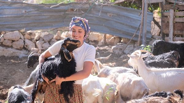 Derya, 2 bin metre su engelli dalında ilk uluslararası yarışmasında bronz madalya kazandı.  2018 yılında 3 bin metre engelli dalında yılın sporcusu seçildi.