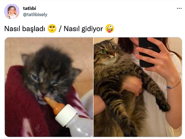 15. 👇