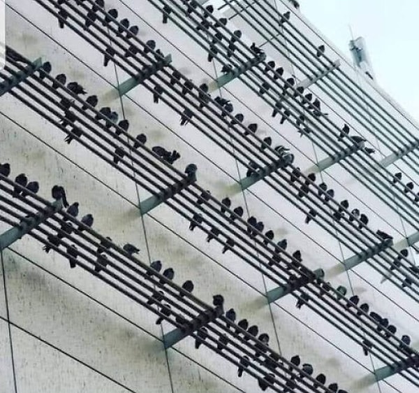 9. Музыкальные ноты