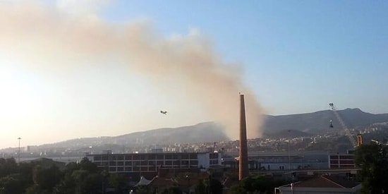 Havadan ve Karadan Müdahale Edildi: İzmir Karşıyaka'da Orman Yangını