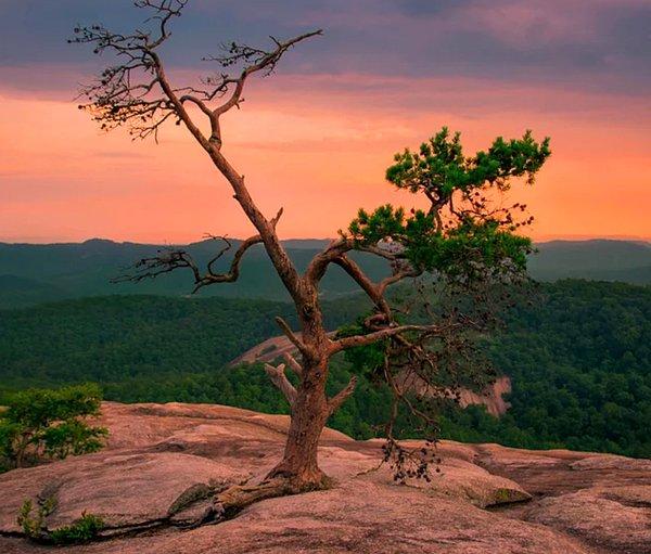 8. Kuzey Carolina'daki Stone Dağ'ında günbatımı: