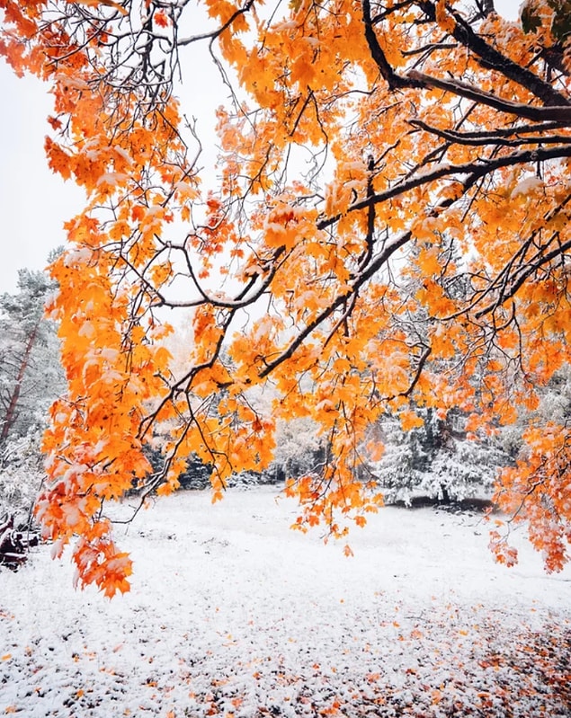 13. Kuopio'da sonbaharın kışla buluşması...