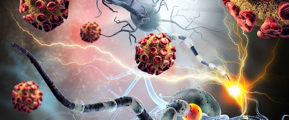 Otoimmün Hastalıklarda Nasıl Beslenilmeli?