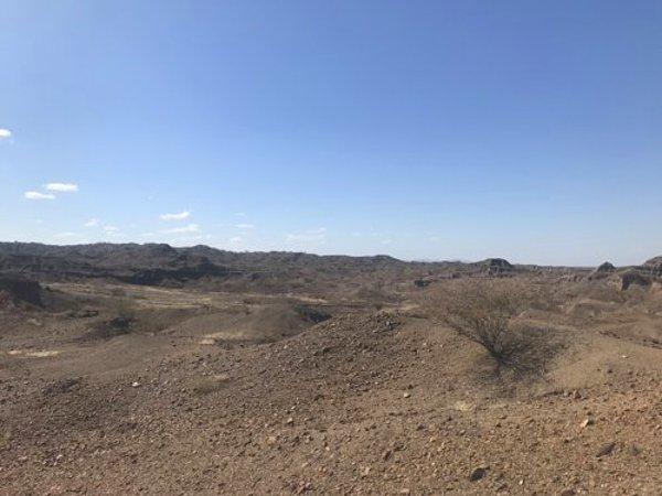 Kazı alanı, Turkana Gölü'nün yakınlarındaki küçük bir tepede yer alıyor.