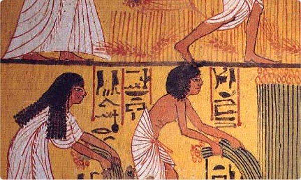 Eski Mısırlıların favori güneş koruyucu karışımı acı bakla, yasemin ve pirinç kepeğinden oluşuyor.