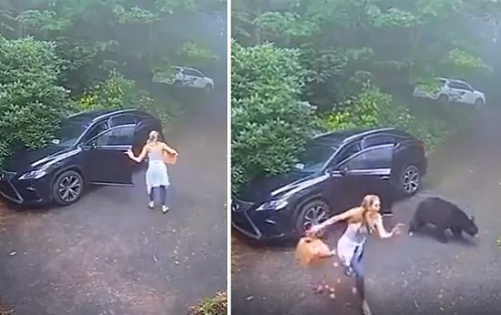 Arabasına Giren Ayının Üzerine Kapıyı Kapatmak İsteyen Kadının Çığlık Çığlığa Kaldığı Anlar