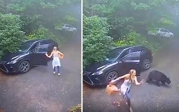 Arabasına Giren Ayının Üzerine Kapıyı Kapatmak İsteyen Kadının Çığlık Çığlığa Kaldığı Anlar