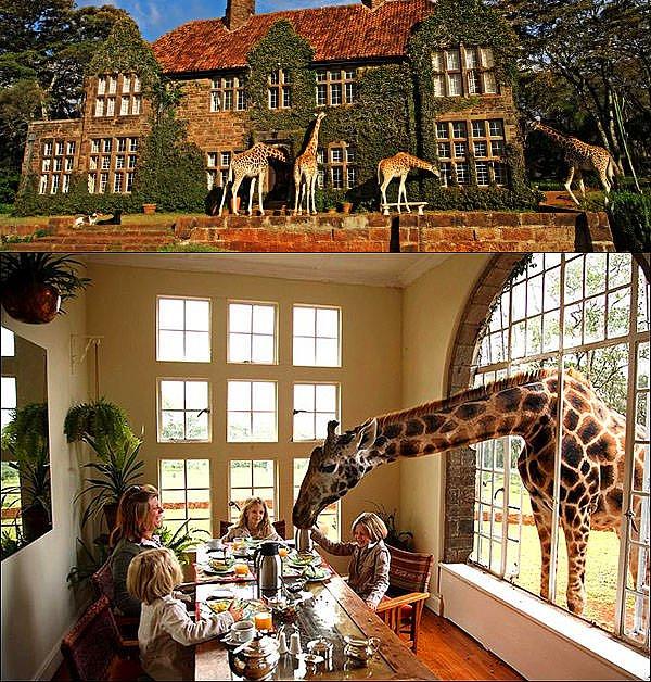 22. Giraffe Manor - Kenya