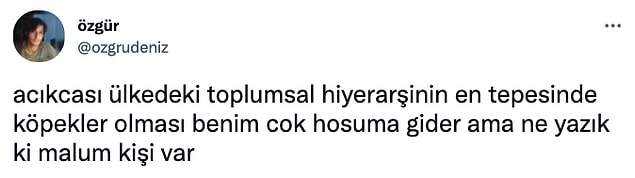 13. 👇😶