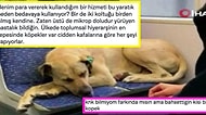 Yağmurdan Kaçıp Tramvaya Sığınan Köpeğin Akbil Basmadığı İçin İnsanların Hakkını Yediğini Söyleyen İlginç Adam