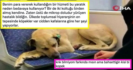 Yağmurdan Kaçıp Tramvaya Sığınan Köpeğin Akbil Basmadığı İçin İnsanların Hakkını Yediğini Söyleyen İlginç Adam