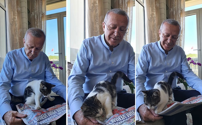 Cumhurbaşkanı Erdoğan 'Pıt Pıt Şeker' ile Fotoğraflarını Paylaştı: 'Güncel Gelişmelere Pek Meraklı'