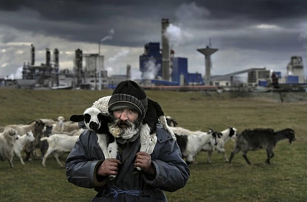 3. Работа от Иштван Керекеш