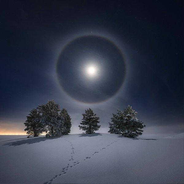 11. Karlı bir gece vakti Ay ışığının altında: