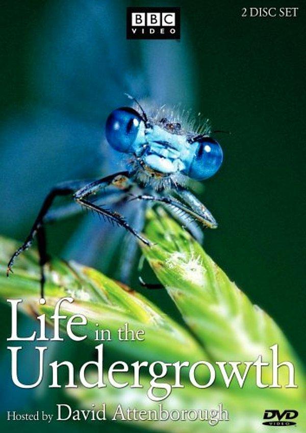 1. Life in the Undergrowth - IMDb: 9.0
