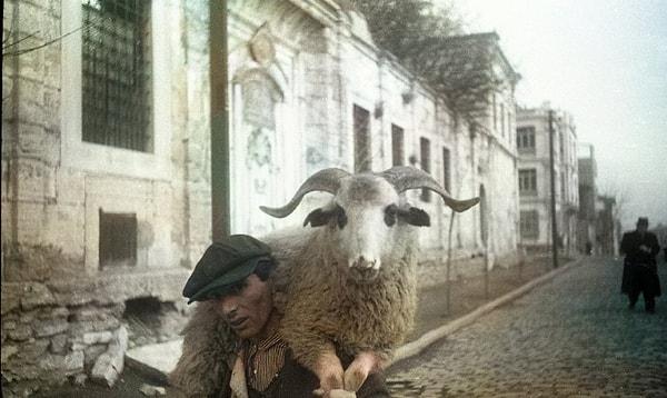 1. Beyoğlu'nda yorulmuş koyunu taşıyan adam, İstanbul, 1930.