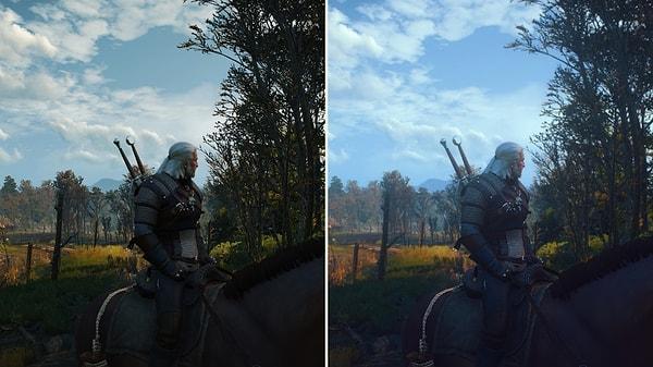 8. HD Reworked Project (The Witcher 3)