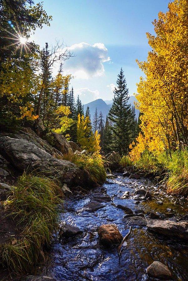 10. Rocky Dağı Ulusal Parkı'nda sonbahar da görülmeye değer.😍