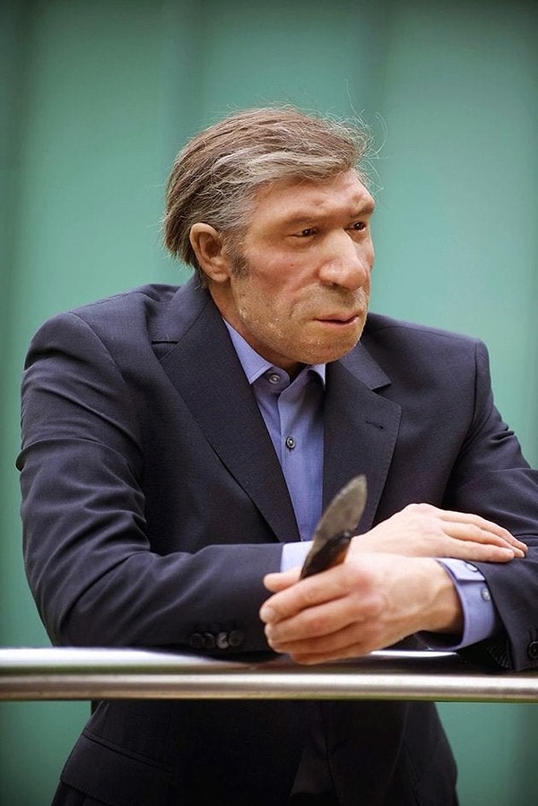 6. Neanderthal takım elbise giyip kravat taksa böyle görünürdü.