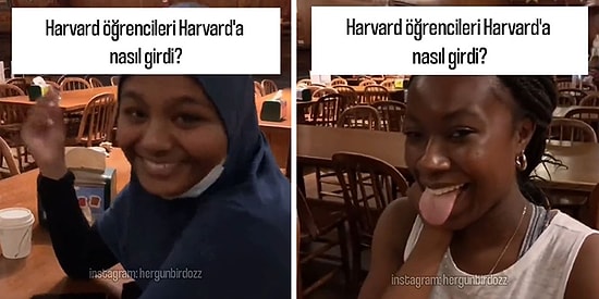 "Harvard'a Nasıl Girdiniz?" Sorusuna Öğrencilerden Gelen Uyduruk Cevaplar