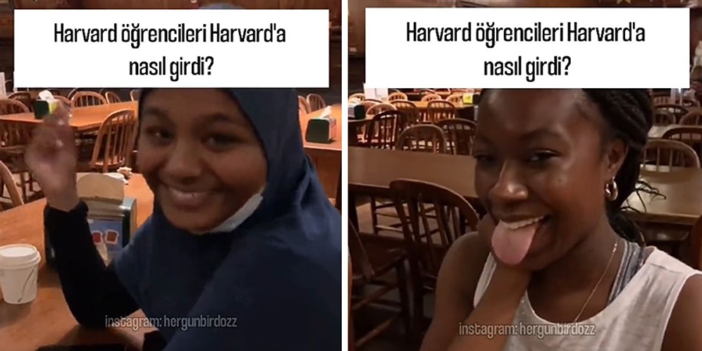 "Harvard'a Nasıl Girdiniz?" Sorusuna Öğrencilerden Gelen Uyduruk Cevaplar