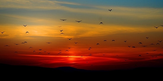 Bazı Şarkılar Gece Güzel: Güneş Battığı Zaman Tadı Sanki Daha Bir Artan 20 Şarkı