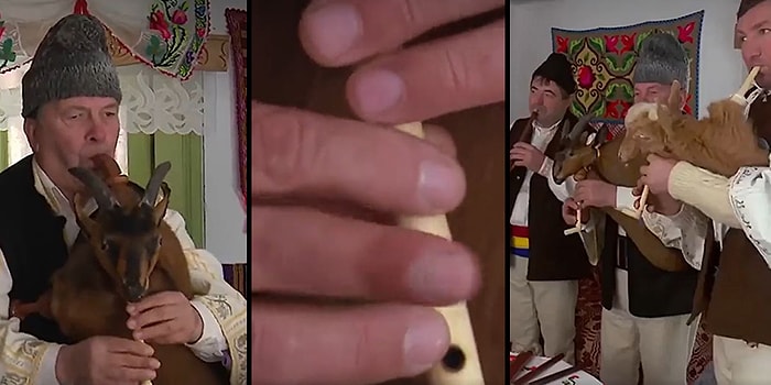 Daha Korkunç Çok Az Şey Gördüm: Komple Hayvandan Yapılan Tulumu Çalan İnsanların Bi' Acayip Görüntüleri