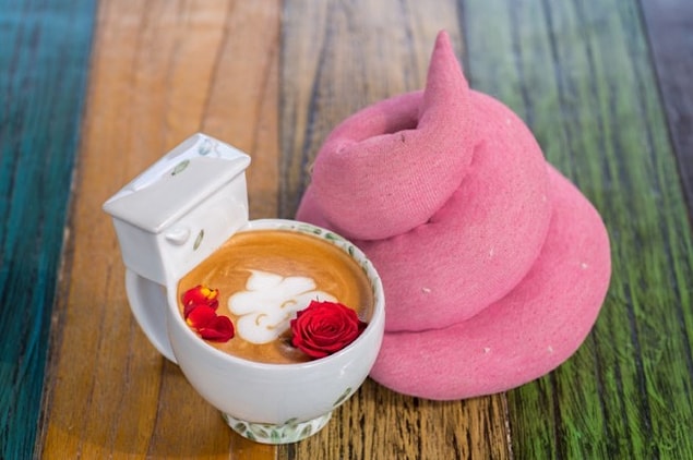 4. Konseptlerin en garip ve komik olanı sanırım: Poop Cafe