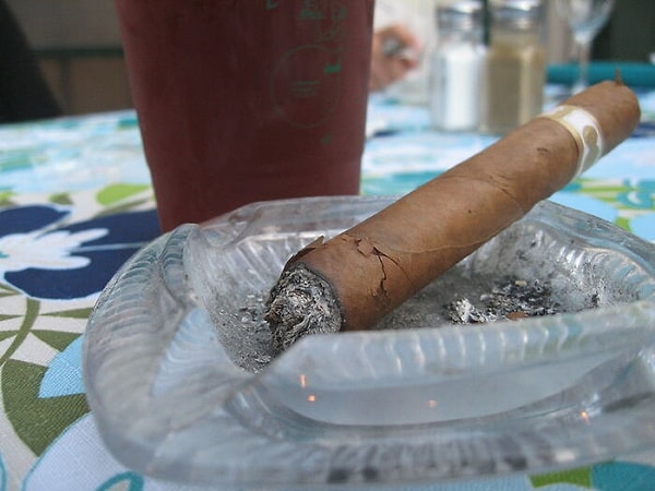 11. Обожаю сидеть около реки, покуривая сигару, и просматривая разные подкасты. Да, это не самая здоровая привычка, но именно она меня успокаивает