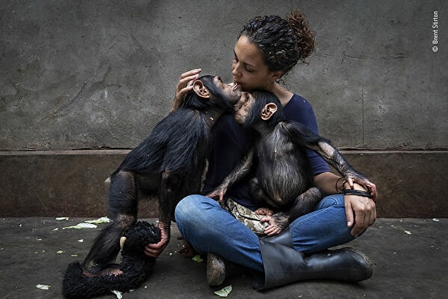4. Güney Afrikalı fotoğrafçı Brent Stirton, bu çalışmasıyla Foto Muhabiri Öykü Ödülü'nü kazandı.