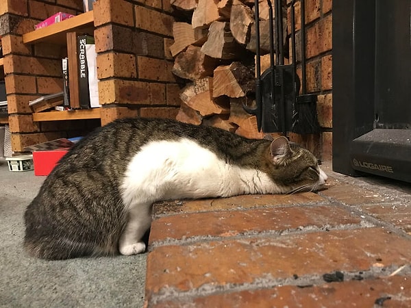 13. Растаял, потому что огонь был слишком горячим