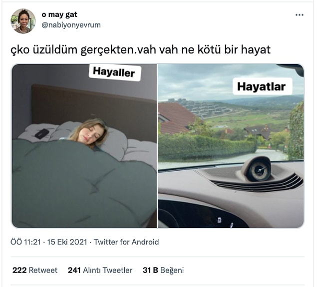 14. Bu hayat değilse bizimki ne acaba?