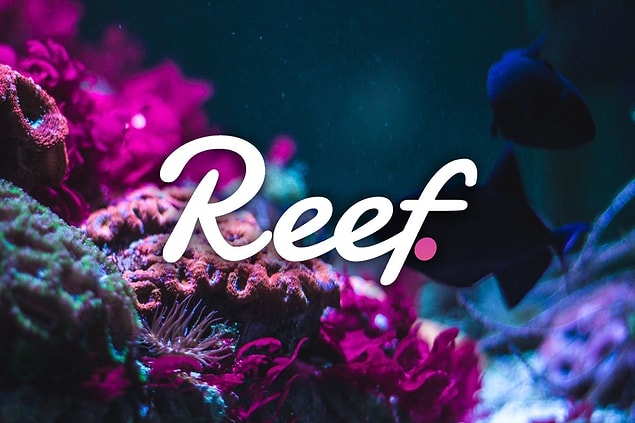 Reef (REEF)