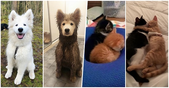 Görenlerde Şaşkınlık Uyandıracak "Öncesi ve Sonrası" Temasıyla Paylaşılan 30 Fotoğraf