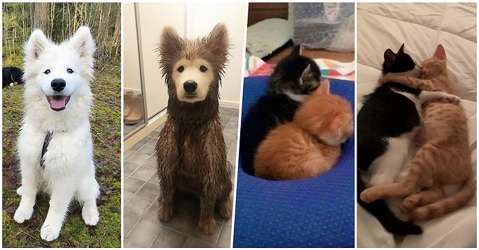 Görenlerde Şaşkınlık Uyandıracak "Öncesi ve Sonrası" Temasıyla Paylaşılan 30 Fotoğraf