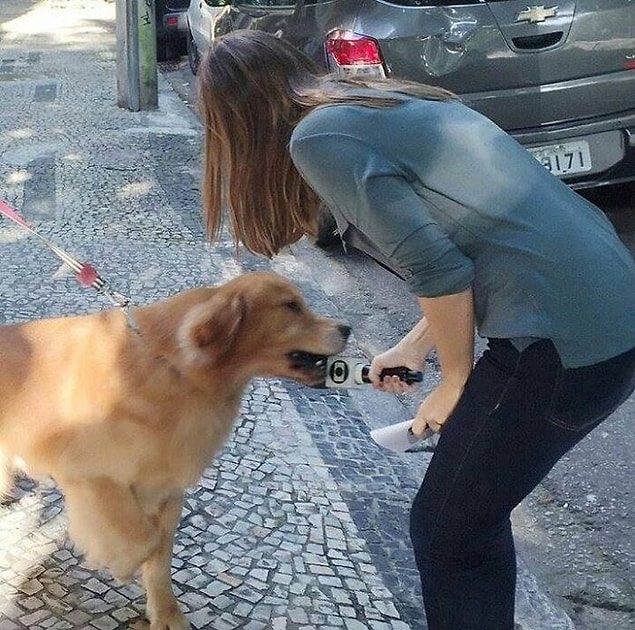 15. "Köpekle röportaj yapmaya çalışan bir muhabir"