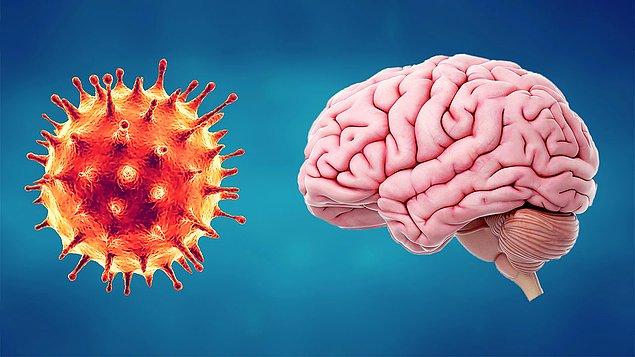 Koronavirüsün bu değişimler üzerindeki uzun vadeli etkileri hakkında bir sonuca varmak için henüz çok erken.