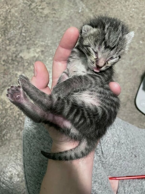 6. Его первый *блюп*