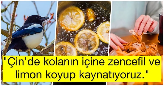 Bazı Ülkelerde Normal Olarak Kabul Edilen Ama Dünyanın Geri Kalanını Şoke Eden 28 Tuhaf Şey