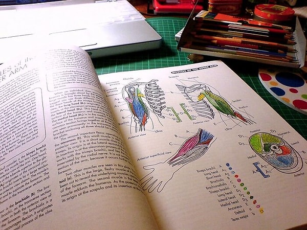 5. Есть болезнь, которая может превратить всю вашу мышечную ткань в кости. Но не переживайте, это генетическое заболевание, вы не можете это где-то подцепить