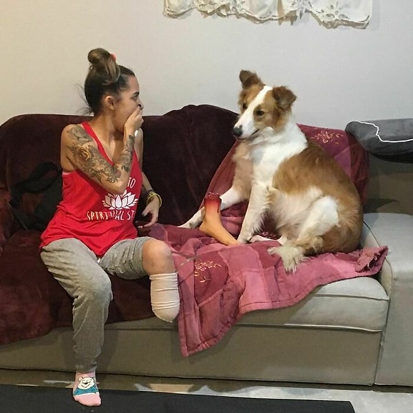 13. «Моя собака не кусается». Счастливого Хэллоуина