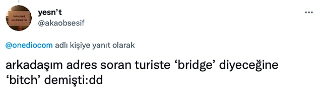 15. Bu çok iyiymiş ya 'hey bitch'